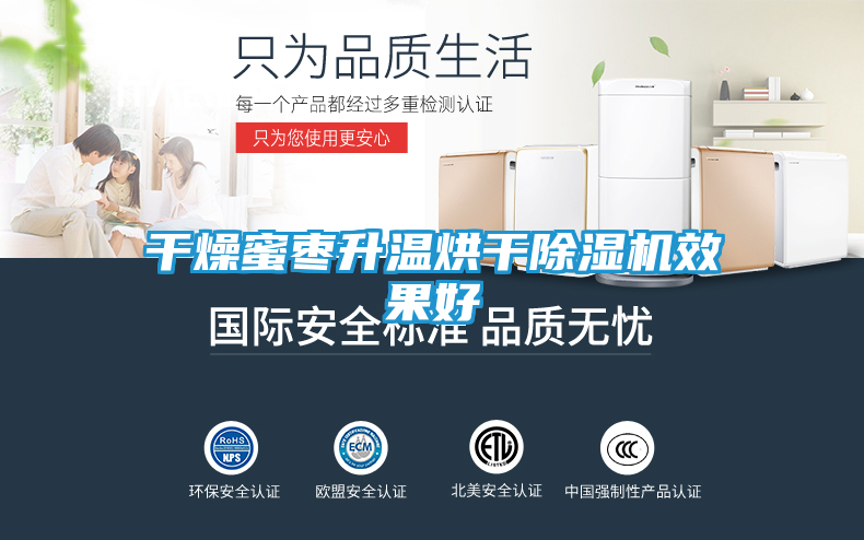 干燥蜜枣升温烘干除湿机效果好