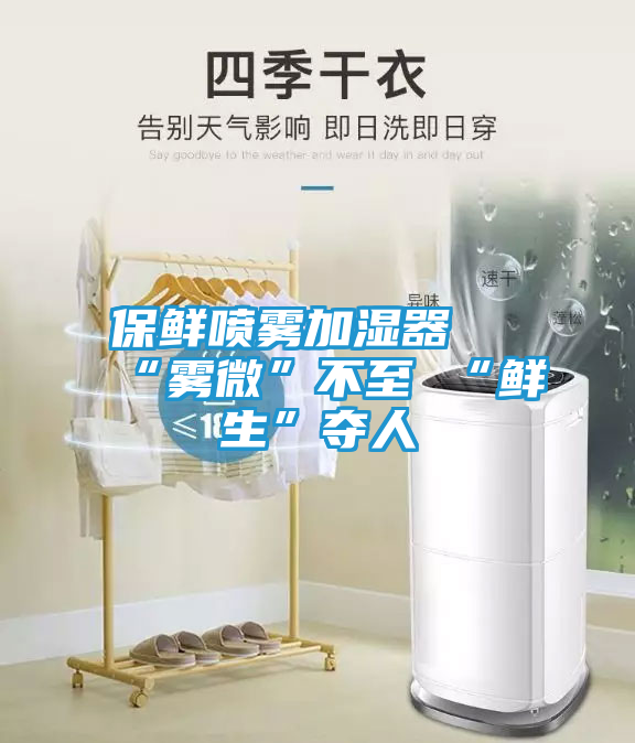 保鲜喷雾加湿器 “雾微”不至 “鲜生”夺人