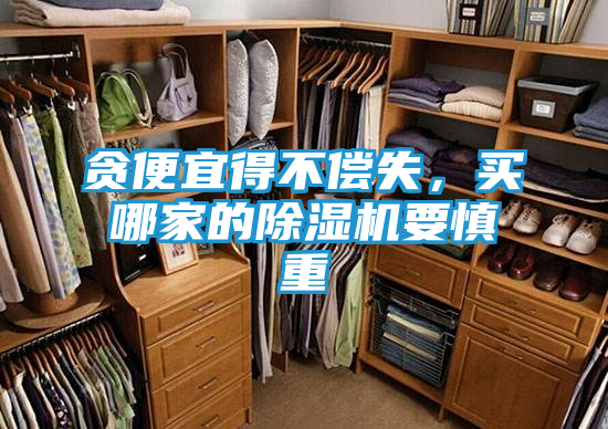 贪便宜得不偿失，买哪家的除湿机要慎重