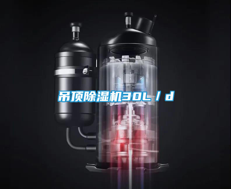 吊顶除湿机30L／d