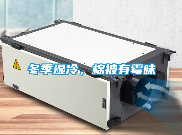 冬季湿冷，棉被有霉味