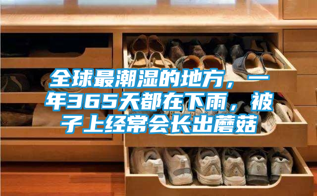 全球最潮湿的地方，一年365天都在下雨，被子上经常会长出蘑菇