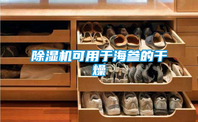 除湿机可用于海参的干燥