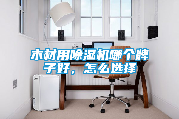 木材用除湿机哪个牌子好，怎么选择