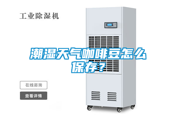 潮湿天气咖啡豆怎么保存?
