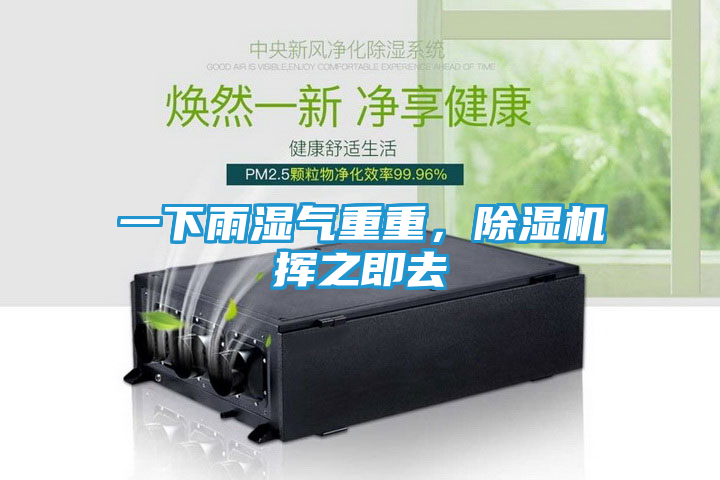 一下雨湿气重重，除湿机挥之即去