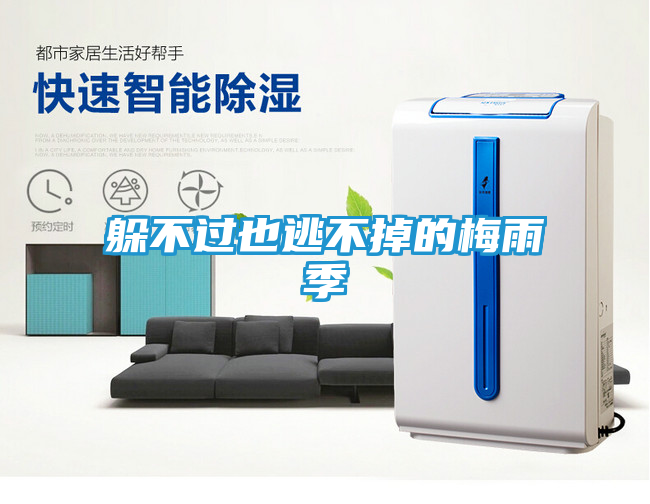 躲不过也逃不掉的梅雨季