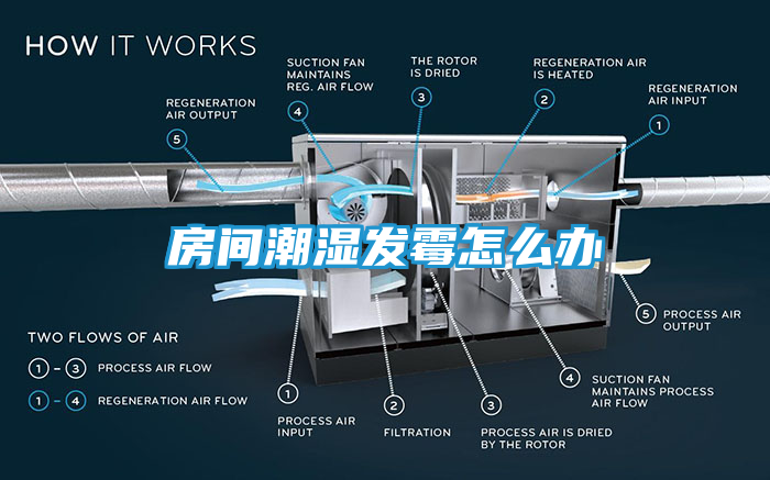 房间潮湿发霉怎么办