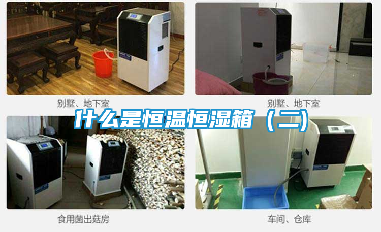 什么是恒温恒湿箱（二)