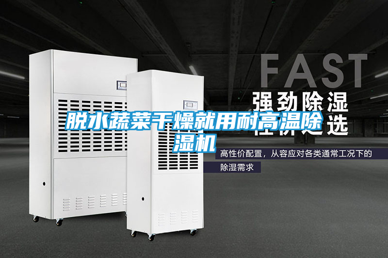 脱水蔬菜干燥就用耐高温除湿机