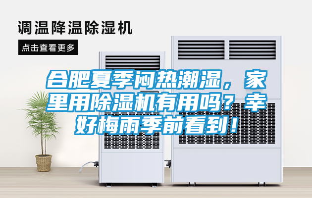 合肥夏季闷热潮湿，家里用除湿机有用吗？幸好梅雨季前看到！