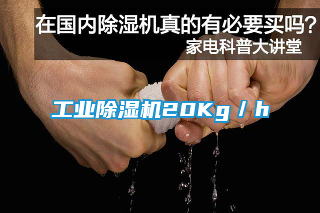 工业除湿机20Kg／h