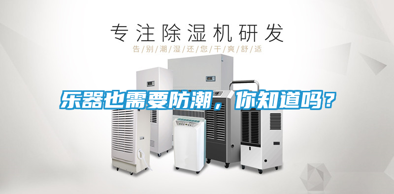 乐器也需要防潮，你知道吗？
