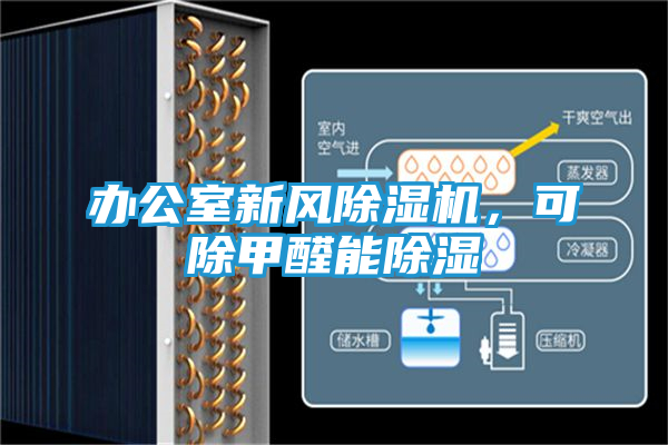 办公室新风除湿机，可除甲醛能除湿