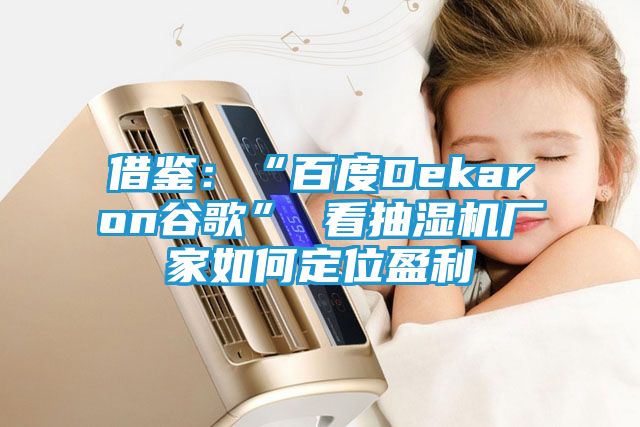 借鉴:“百度Dekaron谷歌” 看抽湿机厂家如何定位盈利
