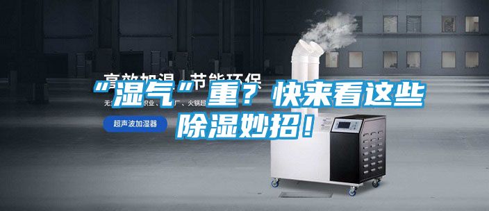 “湿气”重？快来看这些除湿妙招！