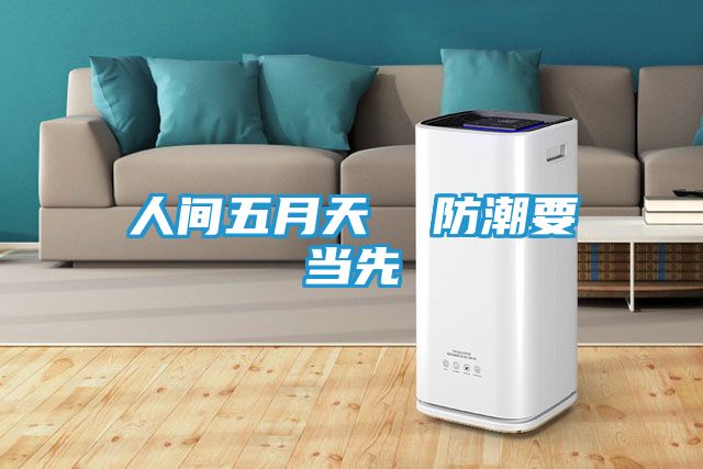 人间五月天  防潮要当先