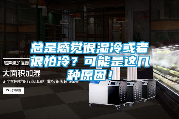 总是感觉很湿冷或者很怕冷?可能是这几种原因!