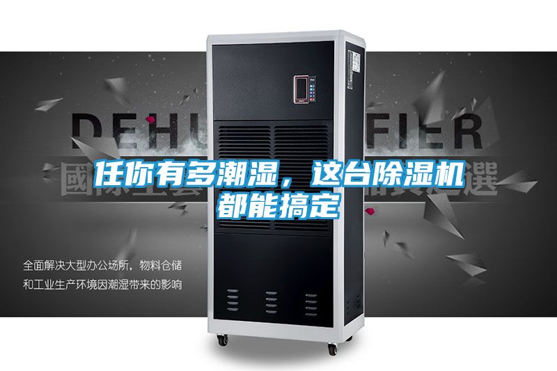 任你有多潮湿，这台除湿机都能搞定