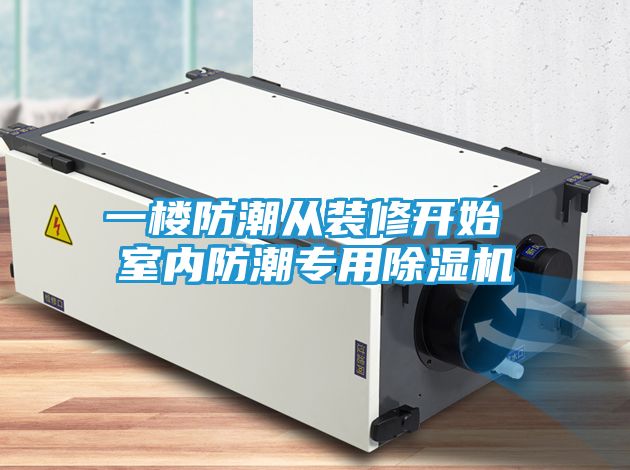 一楼防潮从装修开始 室内防潮专用除湿机