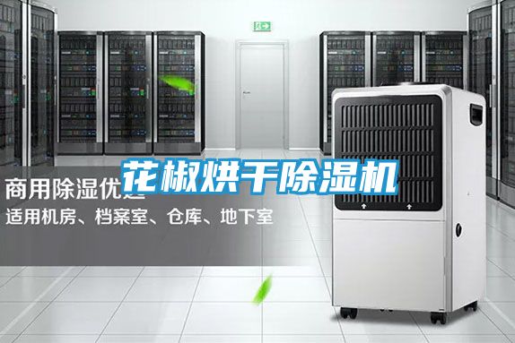 花椒烘干除湿机