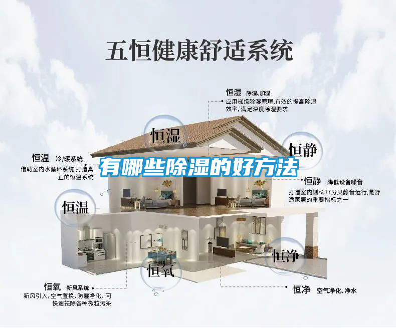 有哪些除湿的好方法