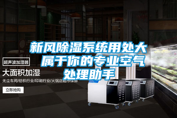 新风除湿系统用处大 属于你的专业空气处理助手