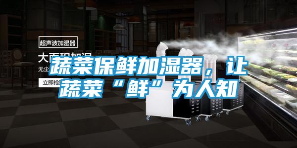 蔬菜保鲜加湿器，让蔬菜“鲜”为人知