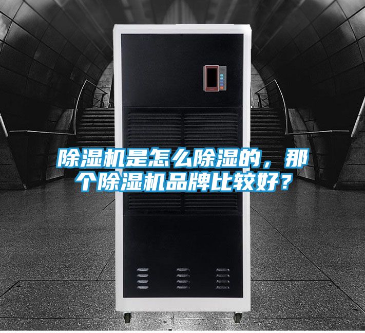 除湿机是怎么除湿的,那个除湿机品牌比较好?
