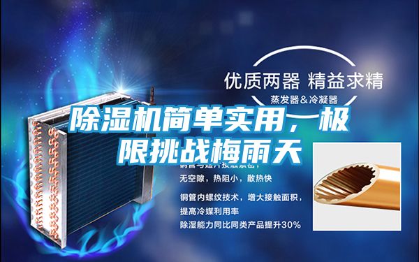 除湿机简单实用，极限挑战梅雨天