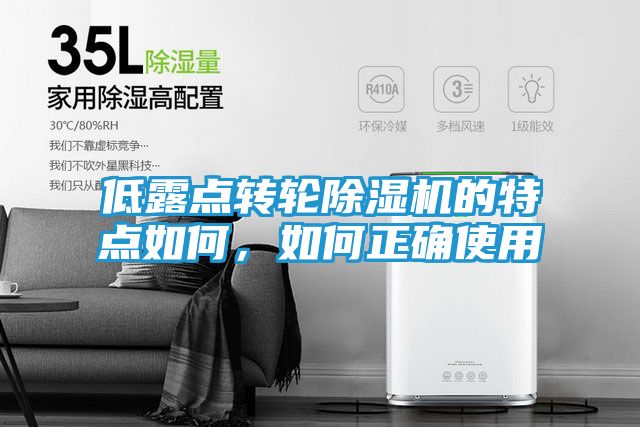 低露点转轮除湿机的特点如何，如何正确使用