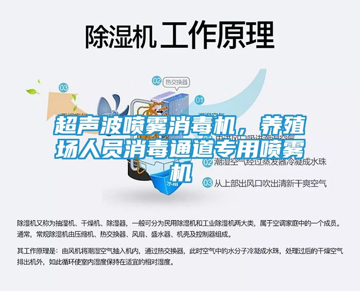 超声波喷雾消毒机，养殖场人员消毒通道专用喷雾机