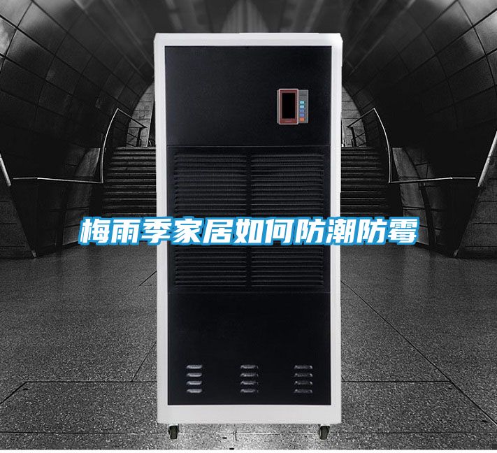 梅雨季家居如何防潮防霉