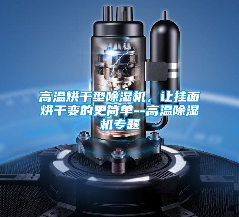 高温烘干型除湿机,让挂面烘干变的更简单--高温除湿机专题