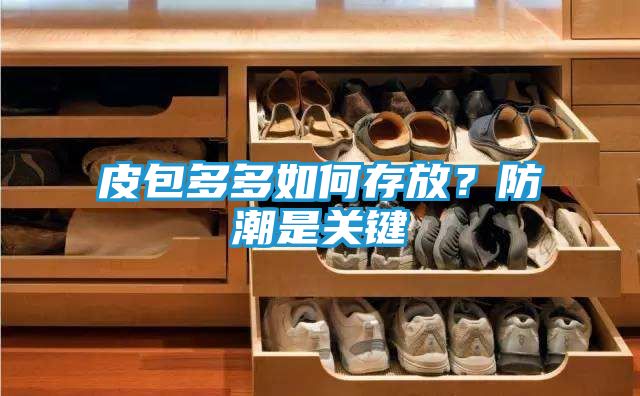 皮包多多如何存放？防潮是关键