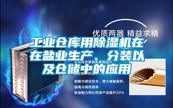 工业仓库用除湿机在在盐业生产、分装以及仓储中的应用