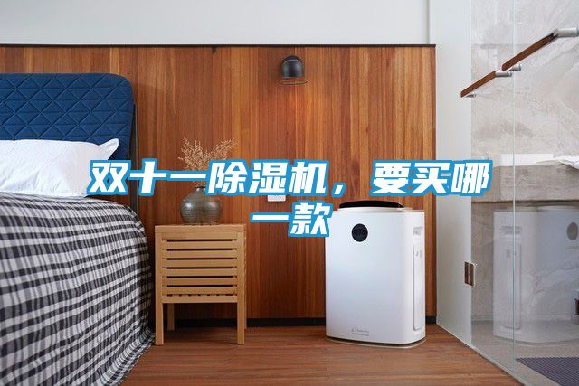 双十一除湿机，要买哪一款