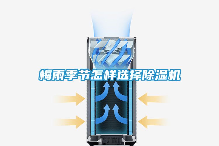 梅雨季节怎样选择除湿机