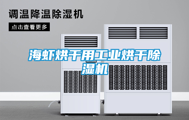 海虾烘干用工业烘干除湿机