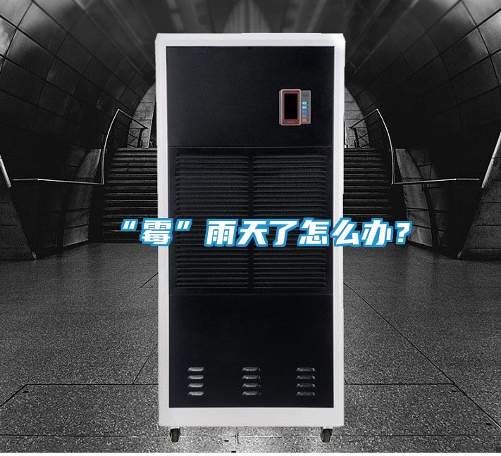 “霉”雨天了怎么办？