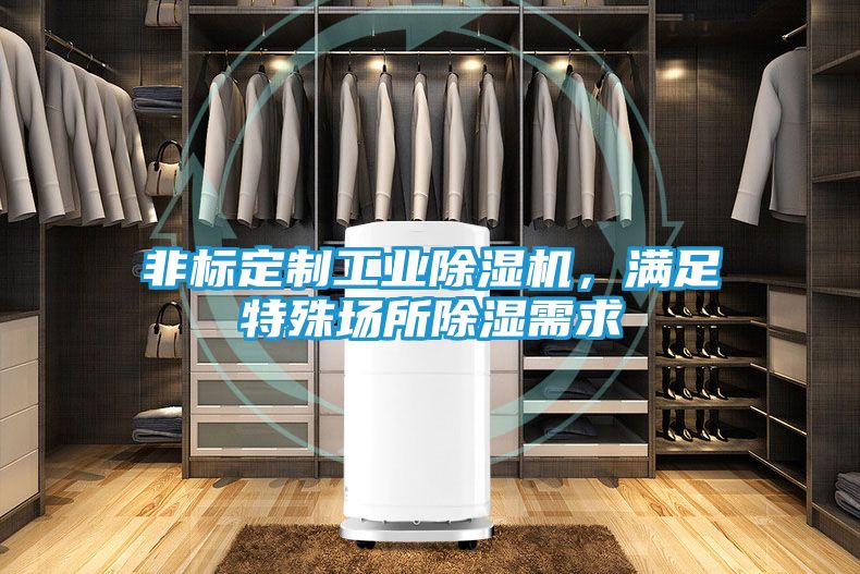 非标定制工业除湿机，满足特殊场所除湿需求