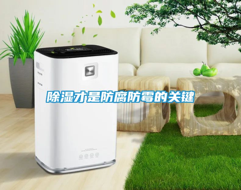 除湿才是防腐防霉的关键