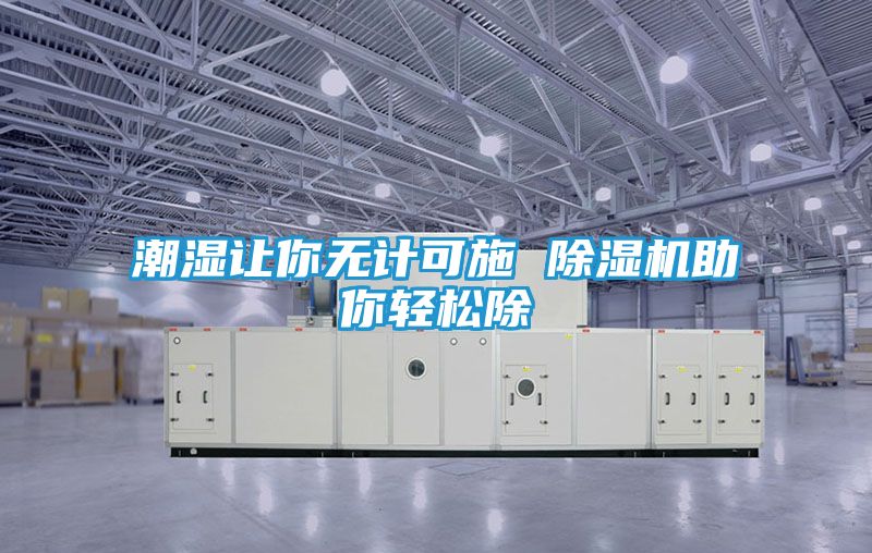潮湿让你无计可施 除湿机助你轻松除