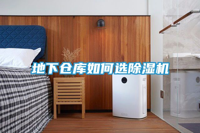 地下仓库如何选除湿机
