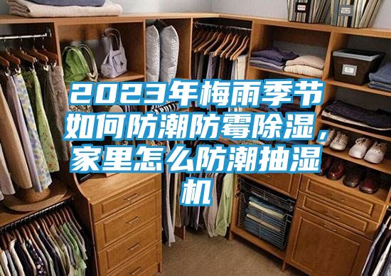 2023年梅雨季节如何防潮防霉除湿，家里怎么防潮抽湿机