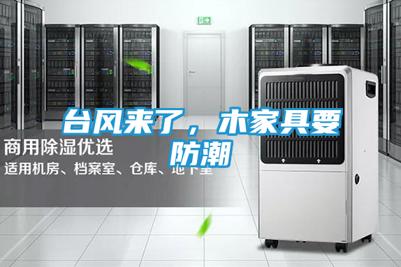 台风来了，木家具要防潮