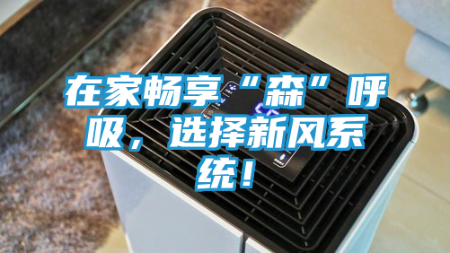 在家畅享“森”呼吸，选择新风系统！