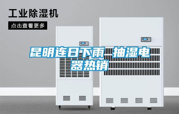 昆明连日下雨 抽湿电器热销