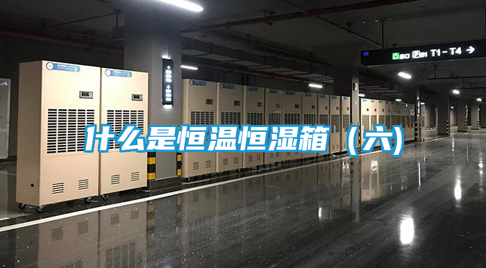 什么是恒温恒湿箱（六)