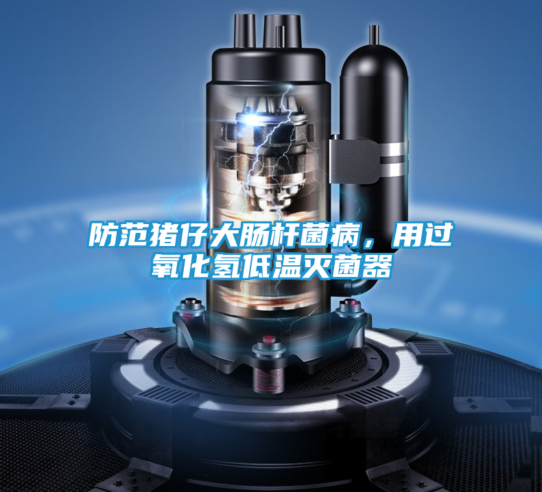 防范猪仔大肠杆菌病，用过氧化氢低温灭菌器